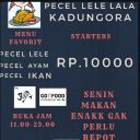 Pecel lele Lala jalan raya kdungora